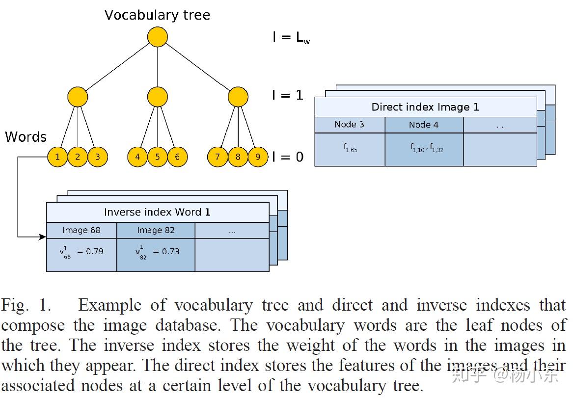 Vocabulary tree and indexes